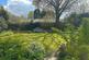 Additional image 9 of Mamhilad, Pontypool