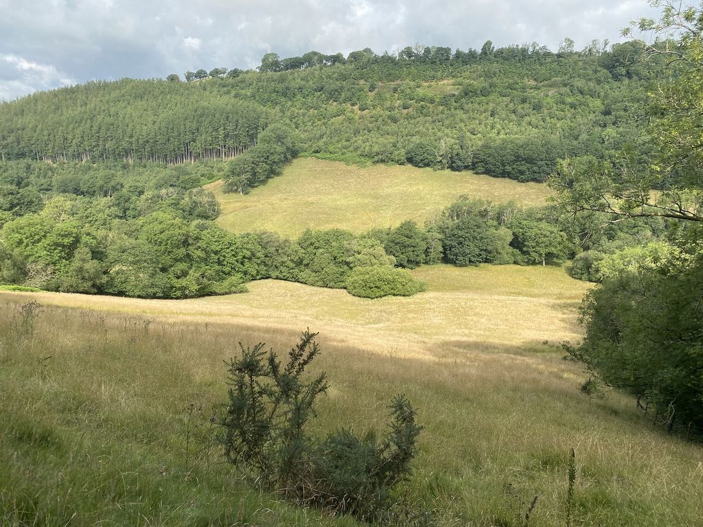Land for saleHalfway, Llandovery, Carmarthenshire. SA20