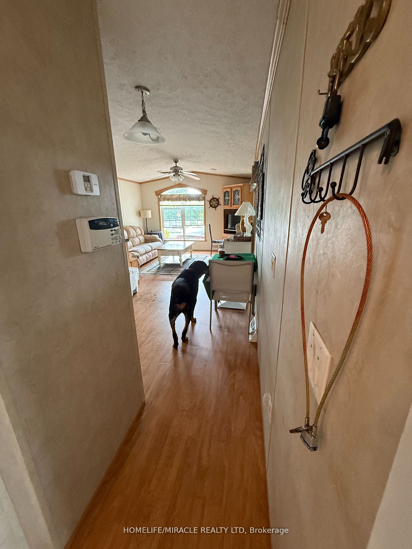 Additional image 5 of 11 Grandview Drive, Otonabee-south Monaghan, ON, K0L 2G0
