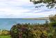 Additional image 28 of Poppit, Cardigan