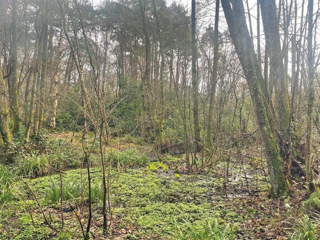Land for saleLand North Of Culmer Lane, Wormley, Godalming GU8