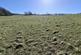 Additional image 5 of Land South of Harrop Wood, Rainow, Macclesfield