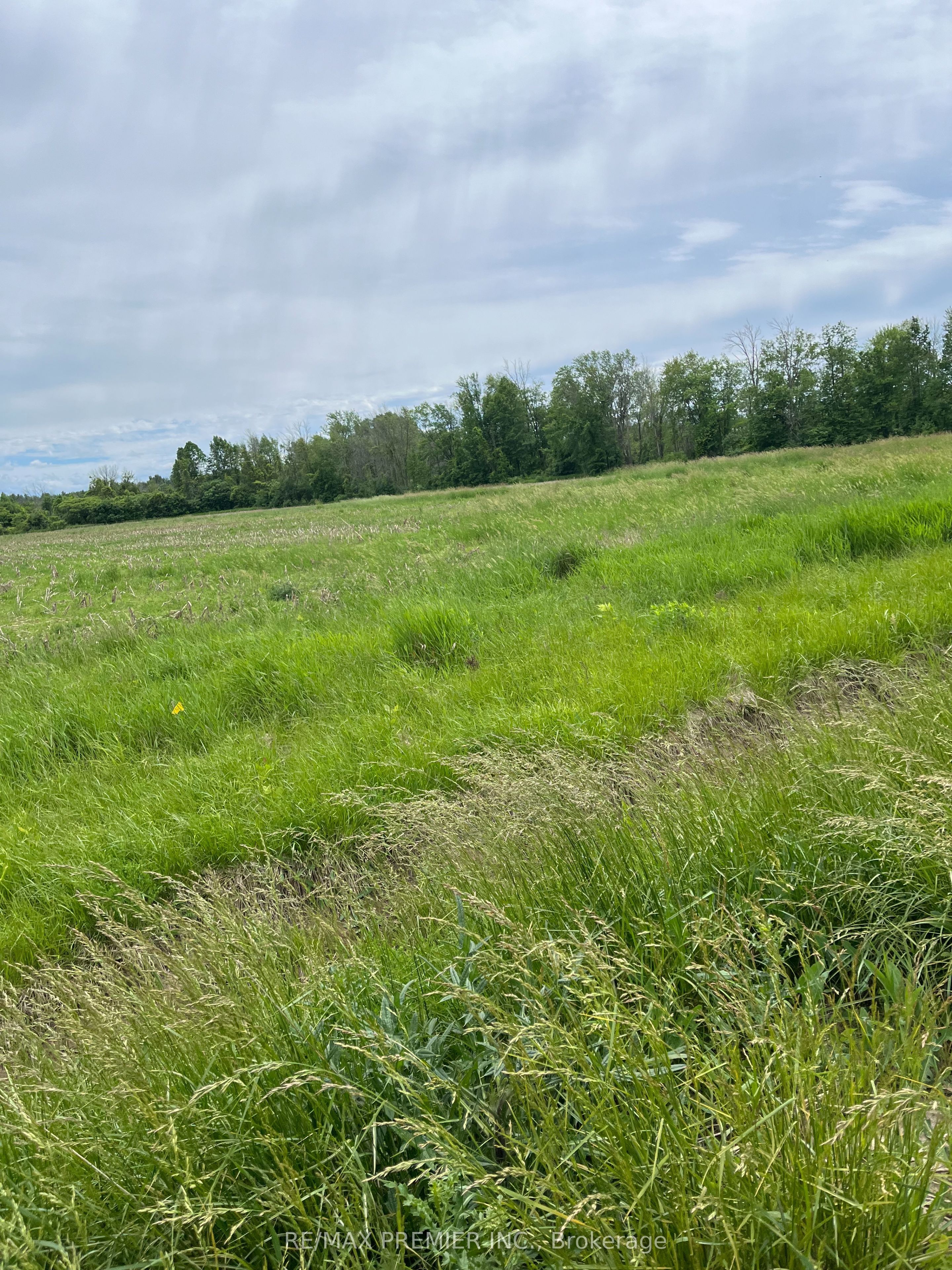 Additional image 4 of N/A Highway 48 N/a, Georgina, ON, L0E 1N0