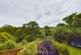 Additional image 44 of Pilot Street, St. Dogmaels, SA43