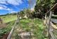Additional image 20 of Woodlands Holiday Park, Bryncrug LL36