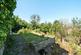 Additional image 11 of Courts Hill Road, Haslemere, GU27