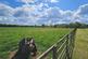 Additional image 46 of Grantham Road, Whatton in the Vale, Nottingham