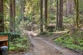 Additional image 35 of 9 Huckleberry Hts, Cazadero, CA, 95421