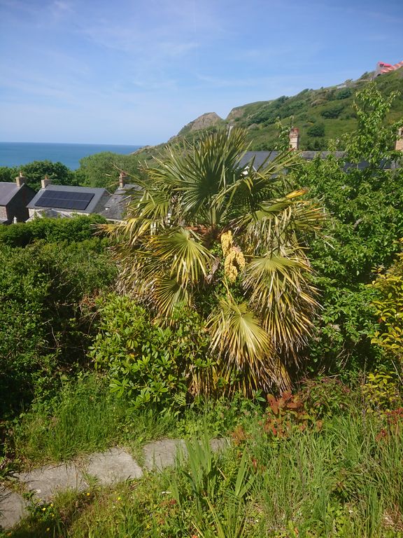 Additional image 23 of 4 bed town house for saleBrynymor Road, Aberystwyth SY23