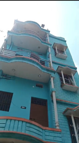 Mango, Jamshedpur