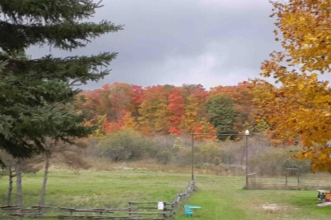 Additional image 8 of 174715 Mulock Road, West Grey, ON, N0G 1S0