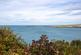 Additional image 27 of Poppit, Cardigan