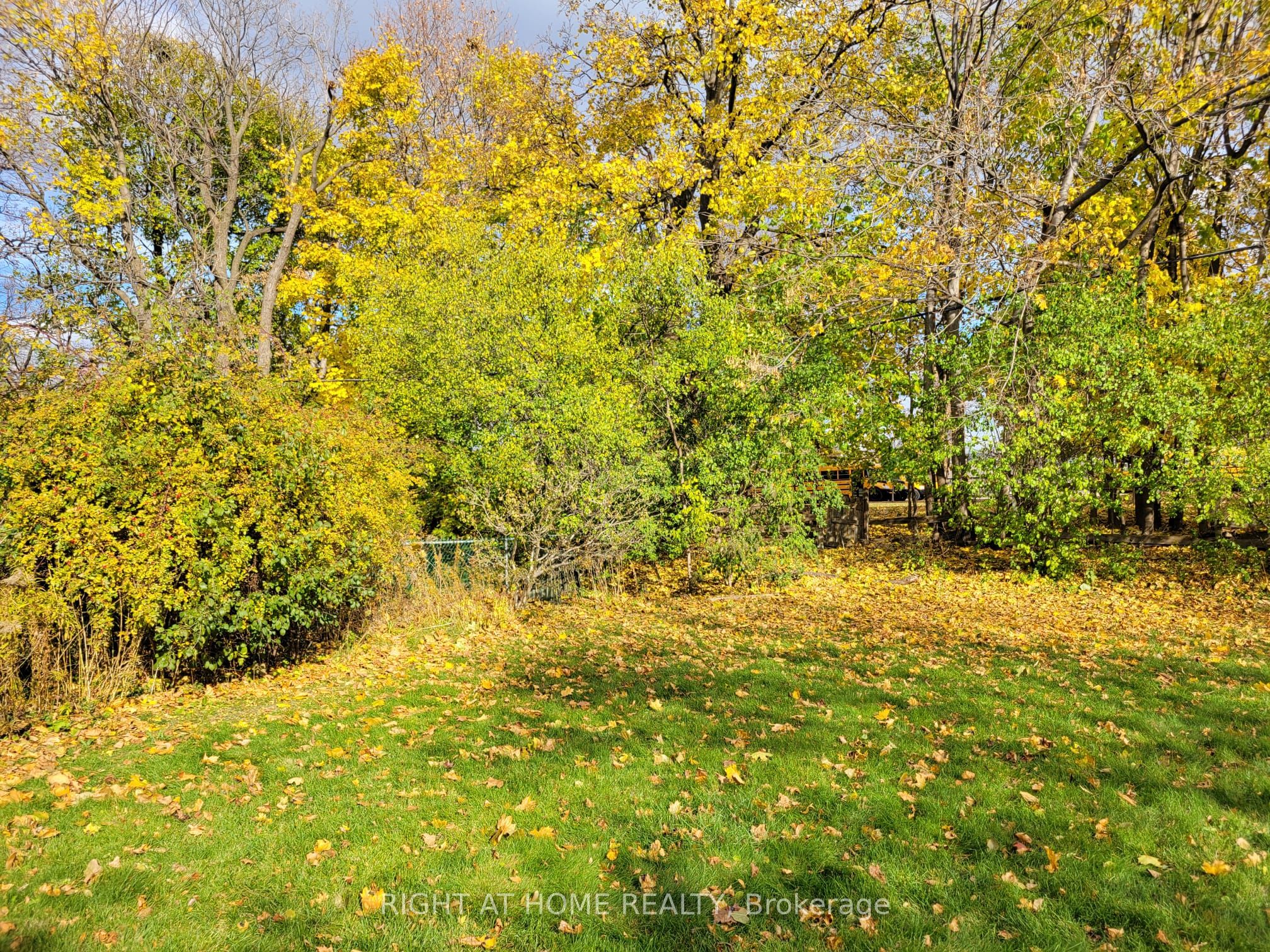 Additional image 5 of 15 Blaketon Road, Toronto, ON, M9B 4V8