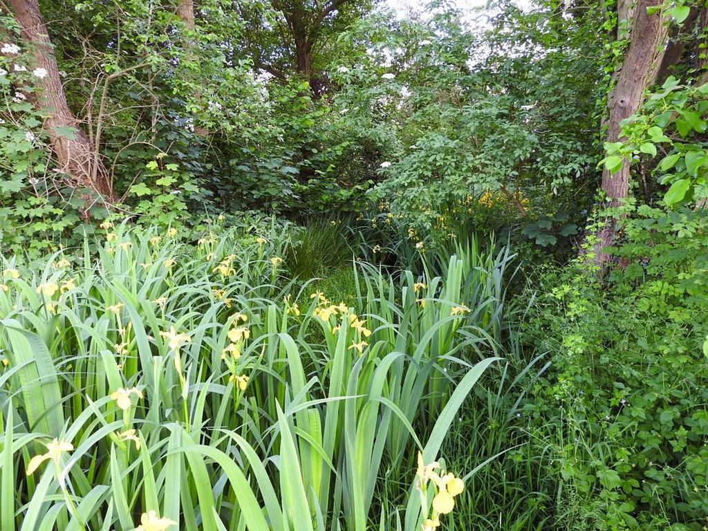 Additional image 18 of Land for saleUp To 10.25 Acres, Elvaston DE72