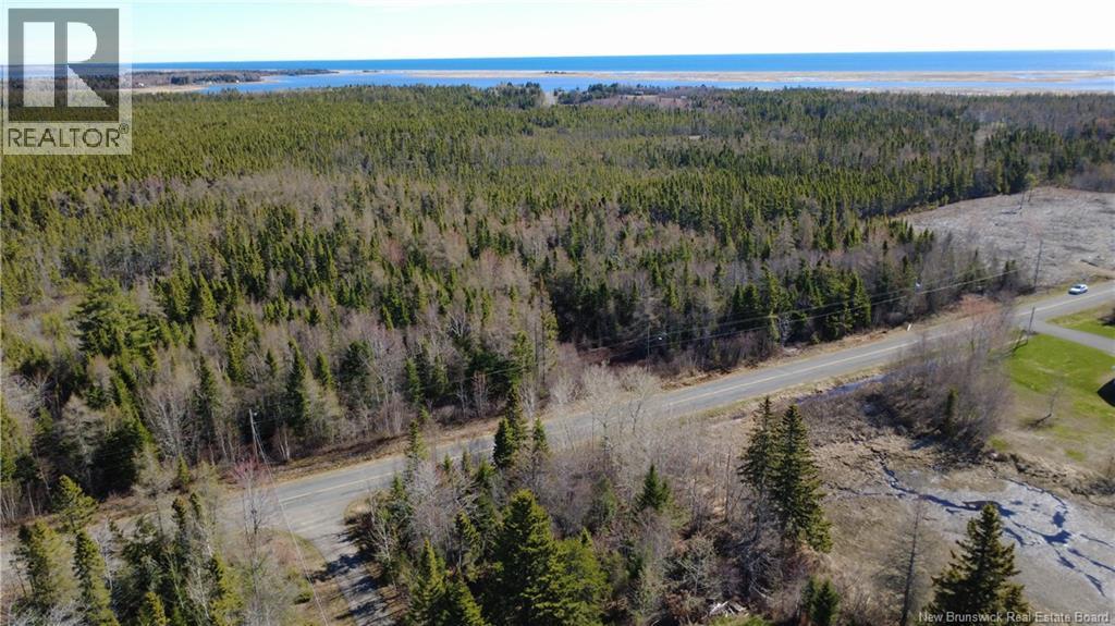 2.02 acres Rue Sureau Blanc