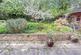 Additional image 15 of Rhyd Galed, Gobowen, Oswestry
