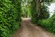 Additional image 33 of Risbury, Leominster, Herefordshire