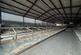 Additional image 40 of St Dogmaels, Cardigan, SA43