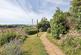 Additional image 17 of SLADE LANE GALMPTON BRIXHAM