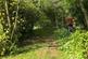 Additional image 25 of Hendon Wood Lane, Mill Hill, London, NW7
