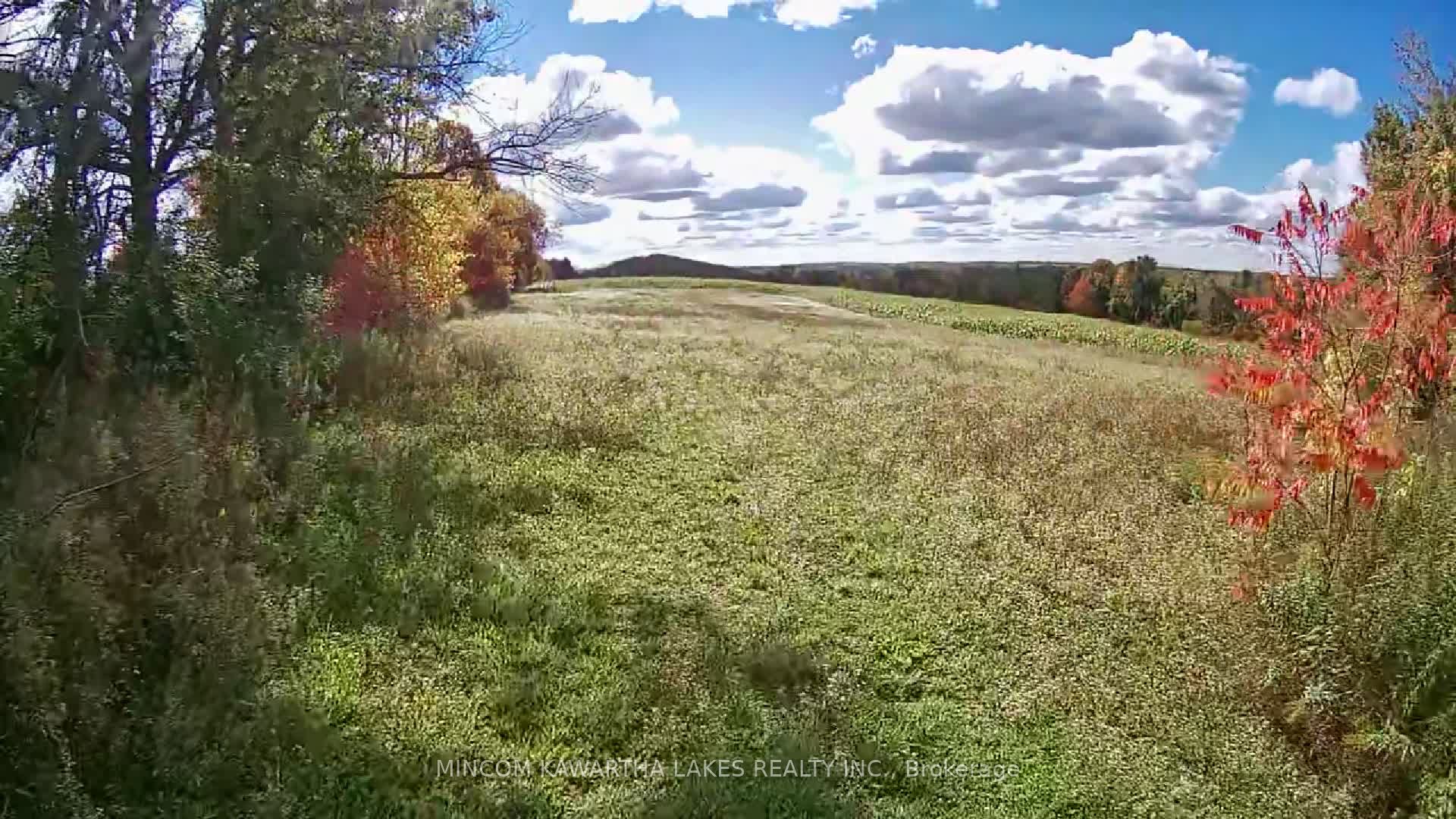 Additional image 2 of PL 15 Base Line, Otonabee-south Monaghan, ON, K0L 2G0