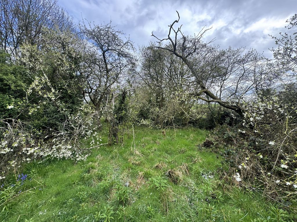 Additional image 4 of Land for saleLower Road, Ashley Heath TF9