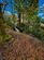 Additional image 31 of 9 Sutherland Avenue, Upper Achintore