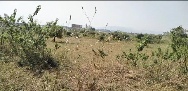 Shahapur, Thane