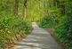 Additional image 28 of Old Bury Hill, Westcott, Dorking, Surrey, RH4
