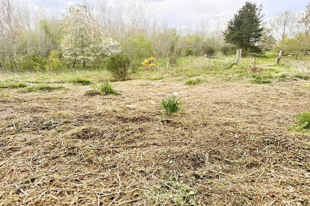 Land for salePlot At, Maud Croft, Redmoss, Drybridge, Buckie AB565Jd AB56 photo 2