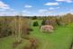 Additional image 30 of Rural Hawkhust, Kent TN18