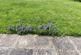 Additional image 70 of Connaught Drive, Golders Green NW11