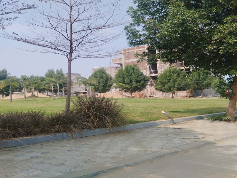 Additional image 3 of Kanadiya, Indore