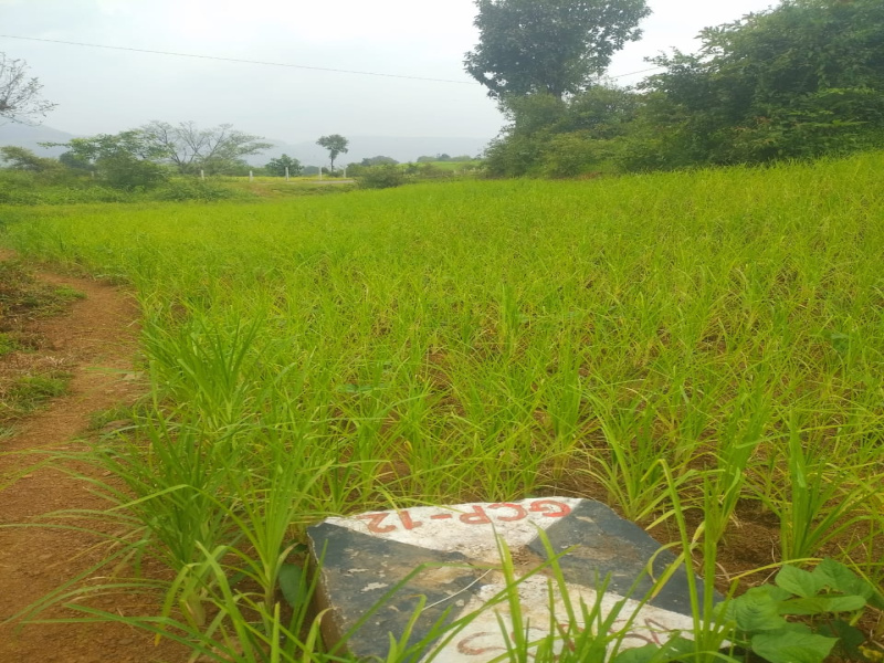 Additional image 3 of Igatpuri, Nashik