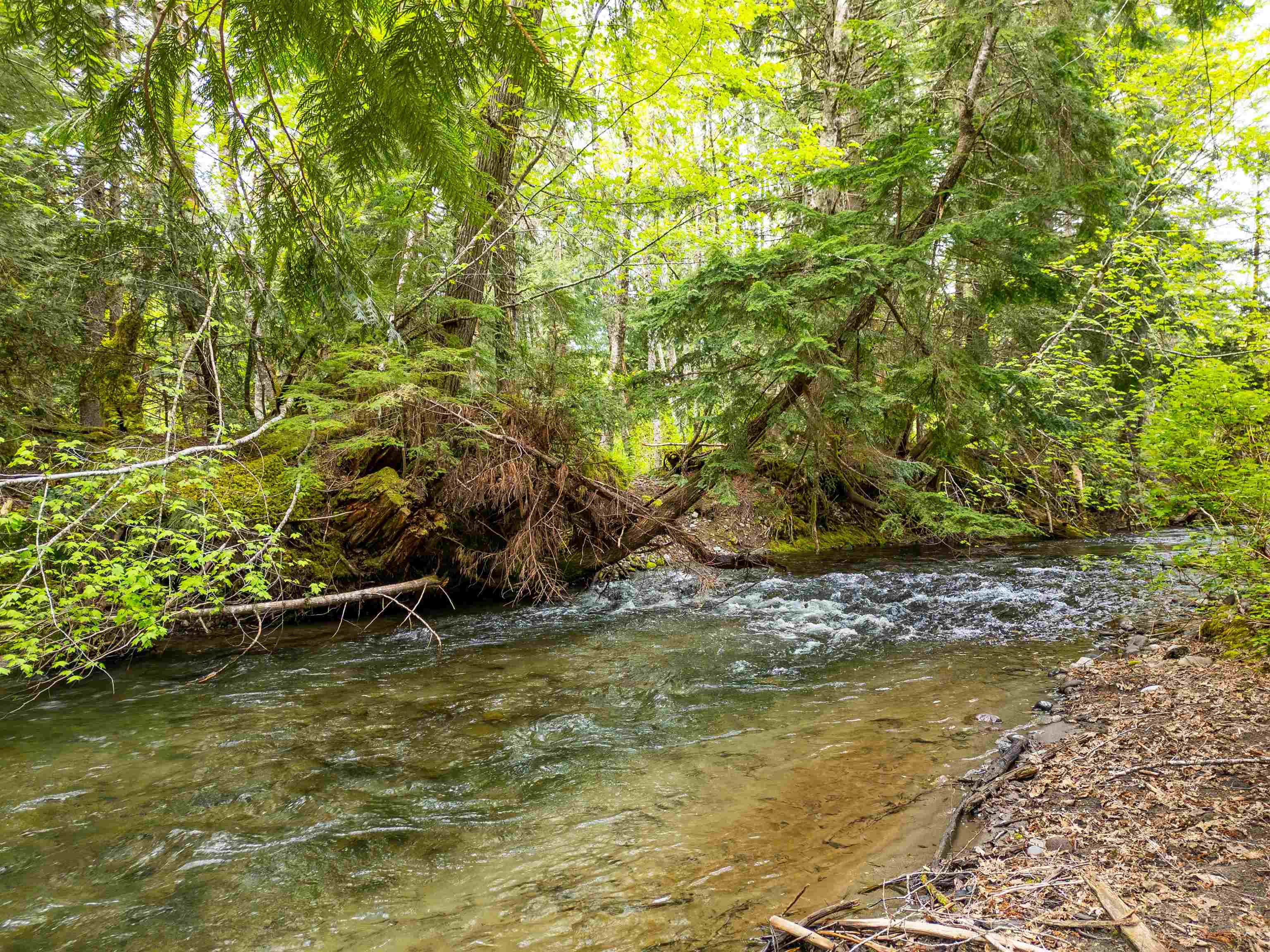 Additional image 4 of DL 3559 Hwy 99 , Whistler, BC, V0V 0V0