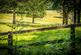 Additional image 27 of Ewhurst, Surrey, GU6