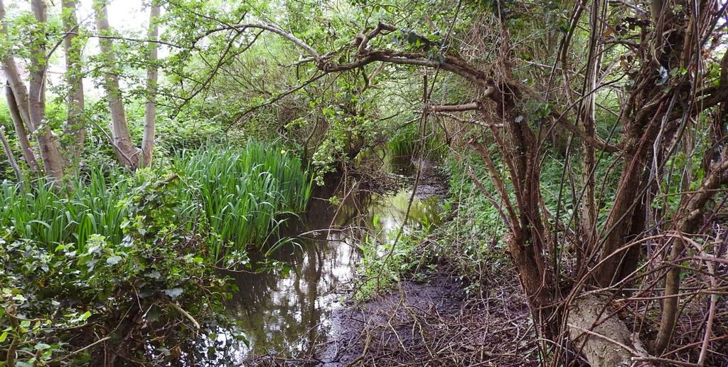 Additional image 17 of Land for saleUp To 10.25 Acres, Elvaston DE72