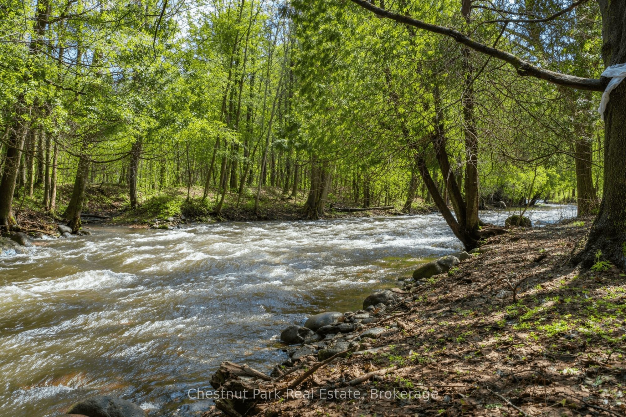 Additional image 5 of 8943 County Road 9 N/a, Clearview, ON, L0M 1G0