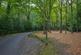 Additional image 16 of Thorndon Park, Ingrave, Brentwood