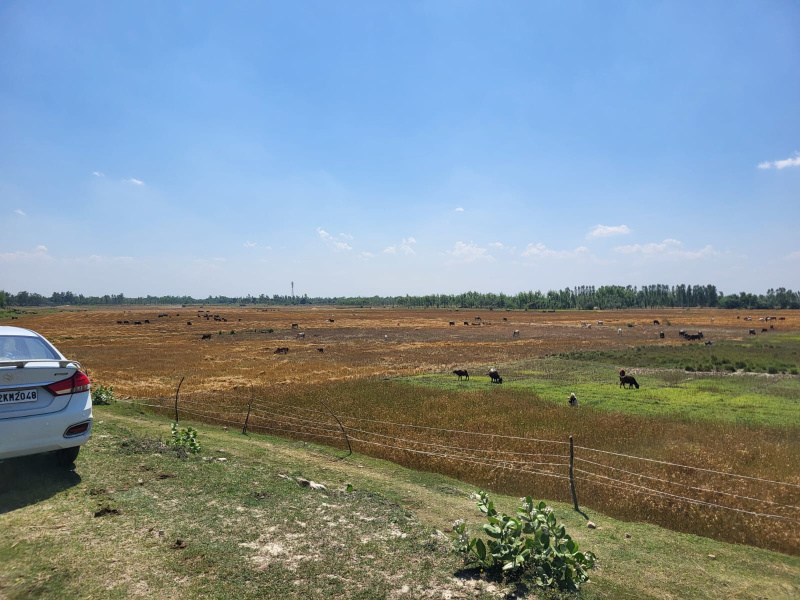 Additional image 3 of Malihabad, Lucknow