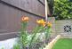 Additional image 12 of Sylvester Road, London E17