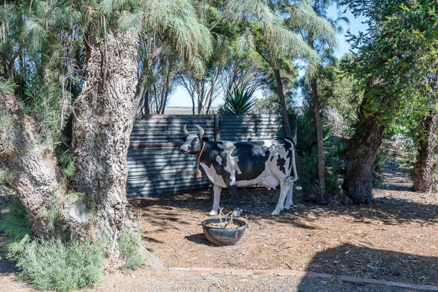 Additional image 34 of Narrung SA 5259