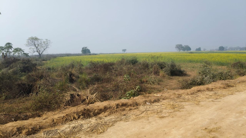 Additional image 2 of Kanhauli, Bihta, Patna