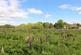 Additional image 3 of Dennis Green, Gamlingay, Sandy