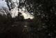 Additional image 4 of Plot 5, Snodwell Farm Post Lane, Cotleigh, Honiton, Devon, EX14 9HZ