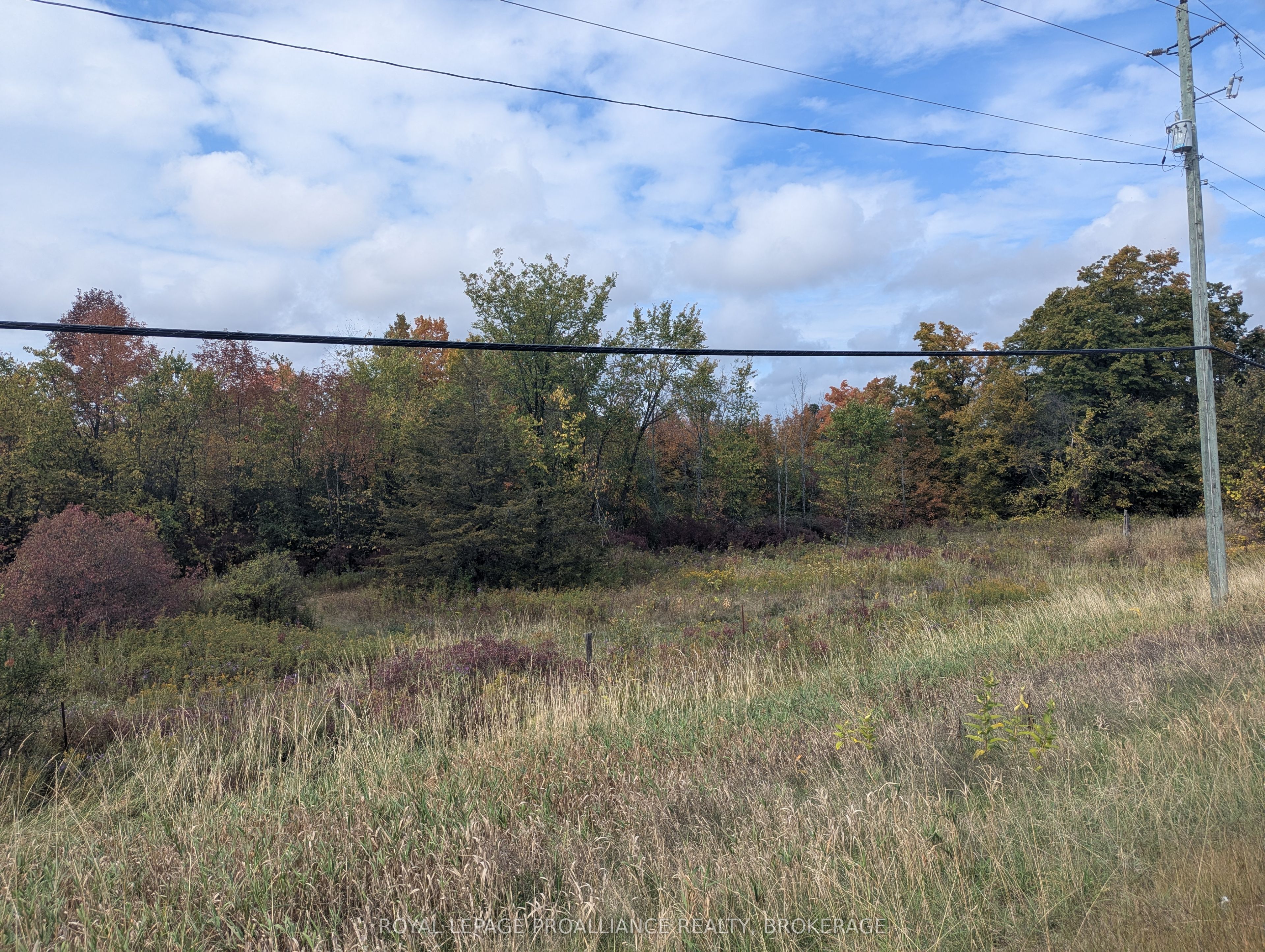 Additional image 4 of Lot 34 Leo Lake Road, Kingston, ON, K0H 2N0