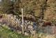 Additional image 43 of Lower Milovaig, Glendale, Isle of Skye, IV55 8WR