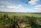 Additional image 15 of Pynest Green Lane, High Beech, Essex, EN9
