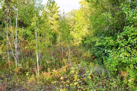 Additional image 7 of Lot 17 Ronald Ave Avenue, Tiny, ON, L0L 1P1