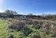 Additional image 10 of Middle Street, Brent Knoll, Highbridge, Somerset, TA9